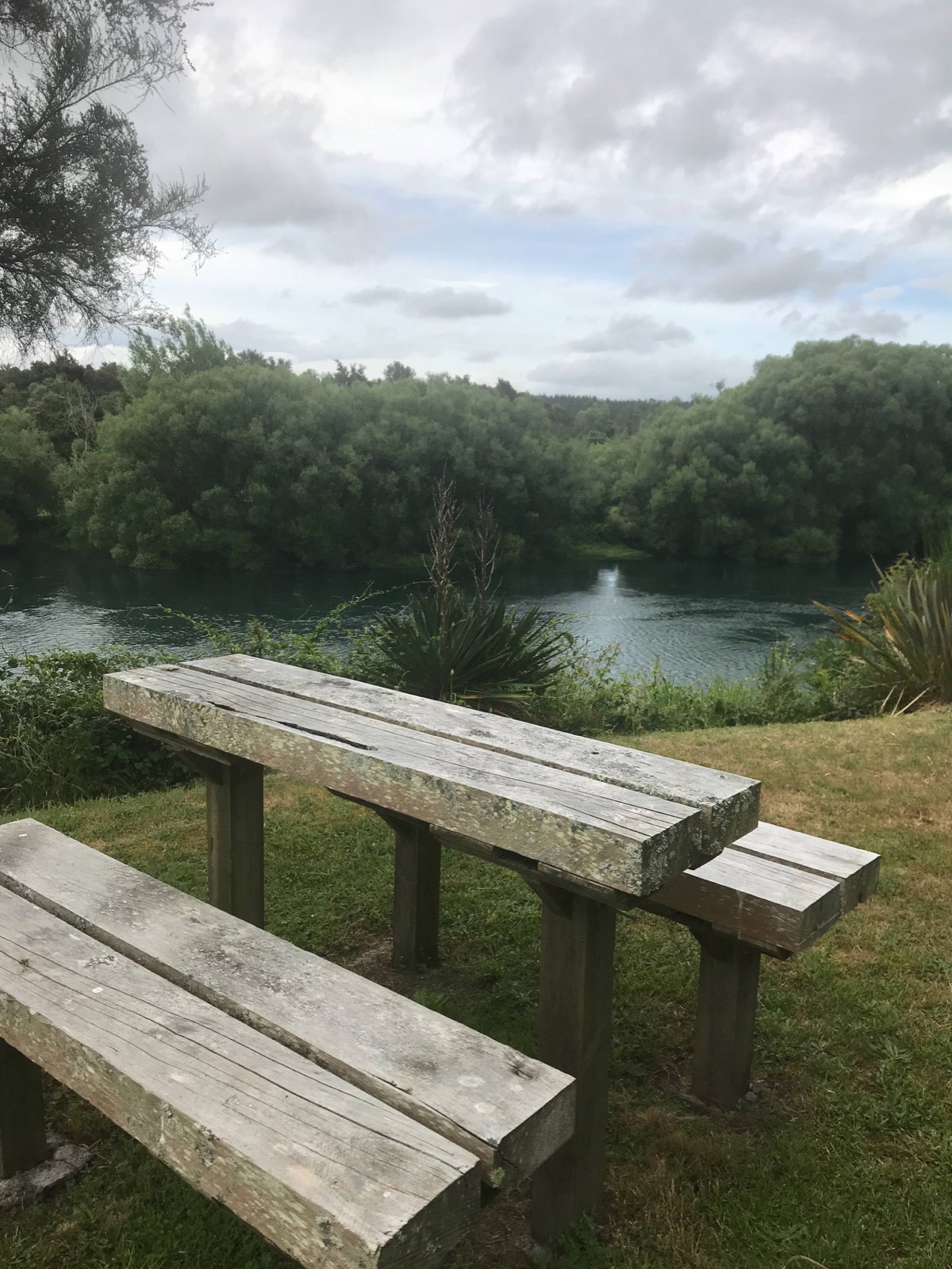 Picnic table on the bank of the Waikato River